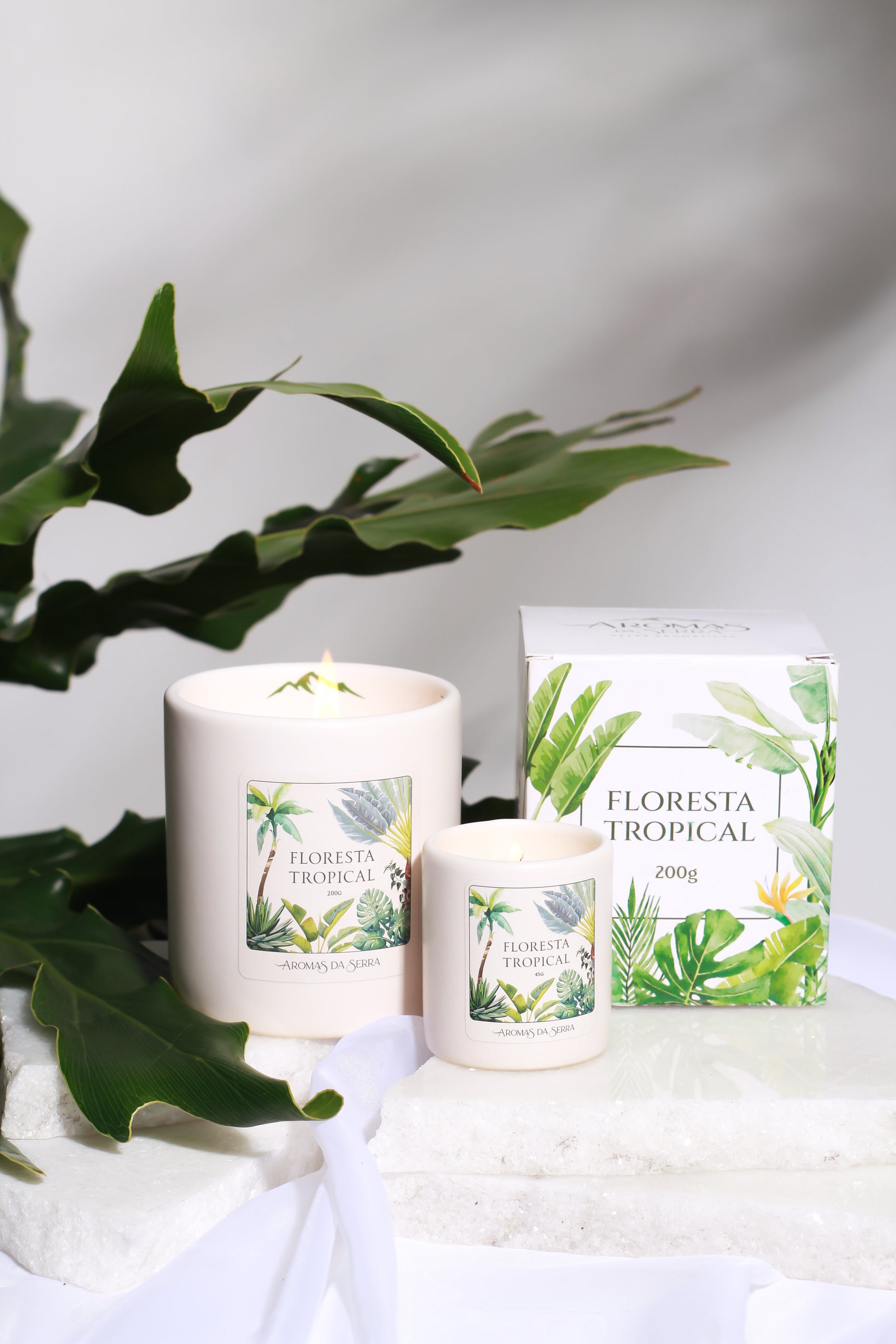 Kit Floresta Tropical