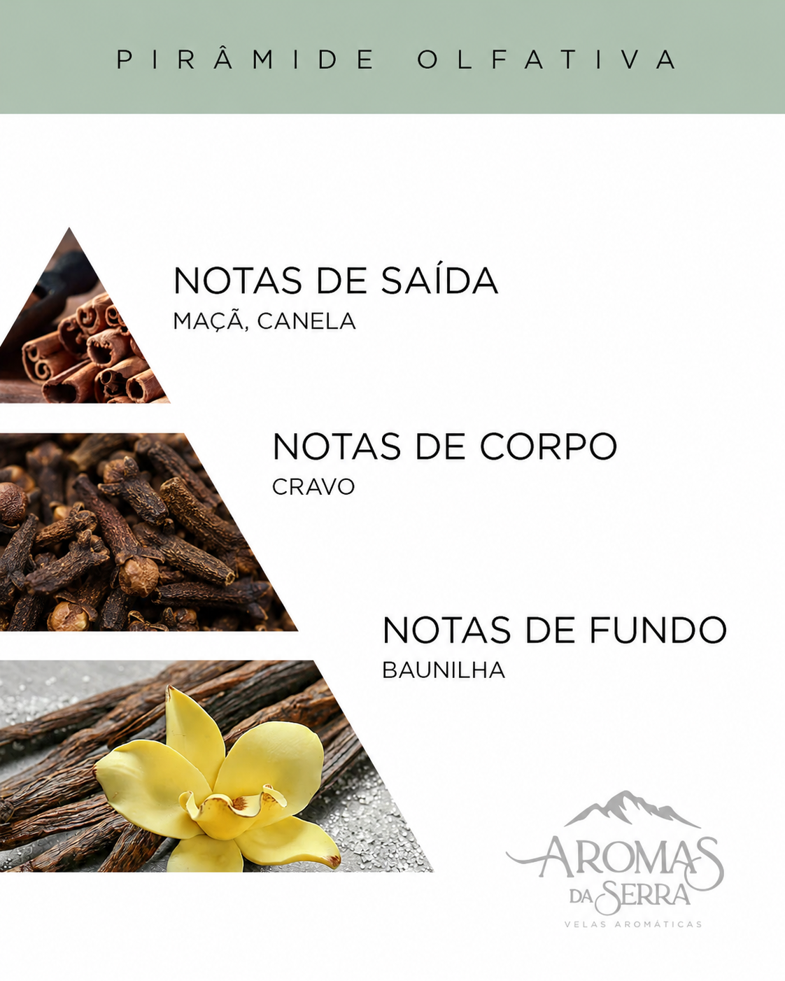 Maçã com Canela 170g