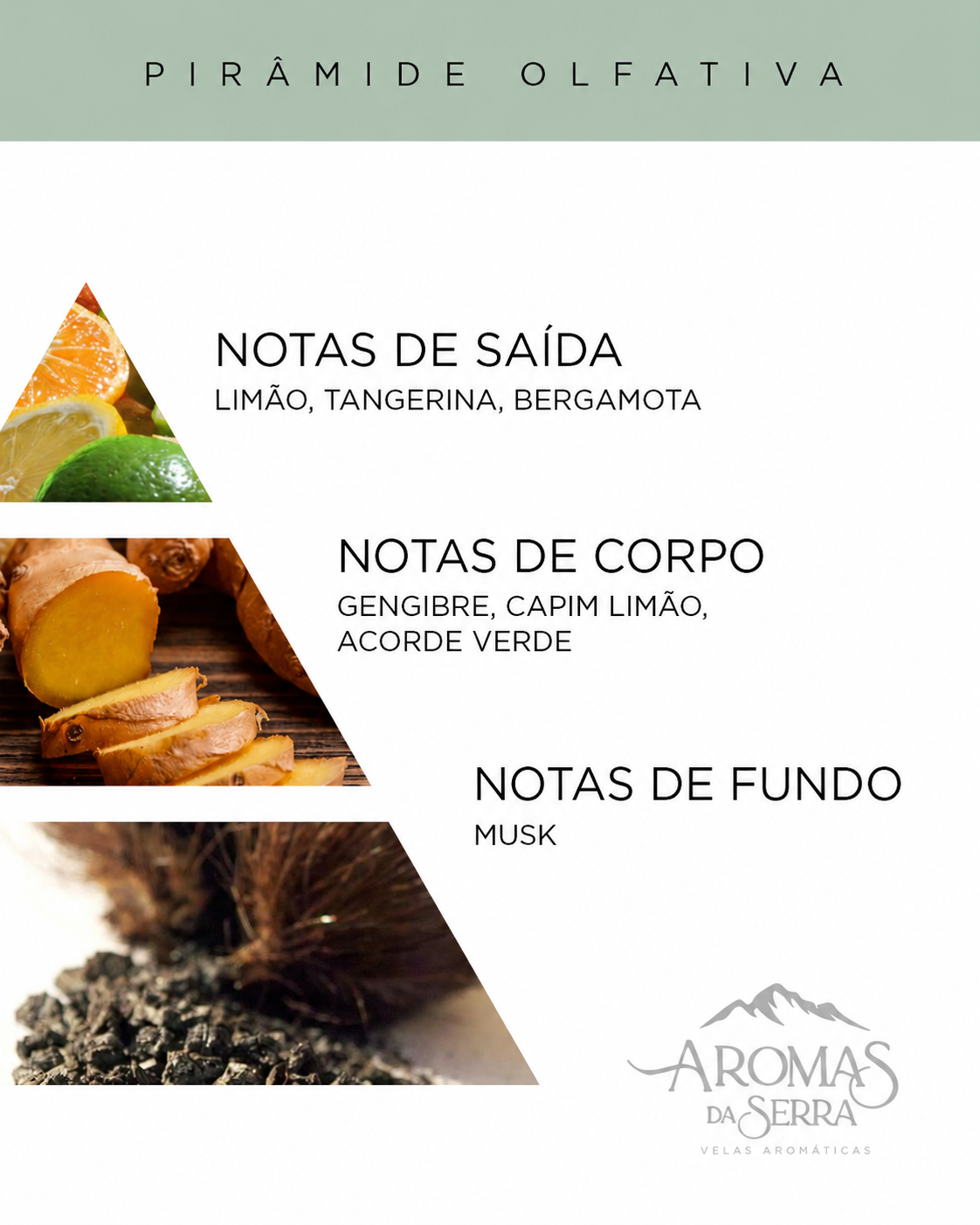 Capim Limão 170g
