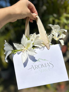 Sacola para Presente