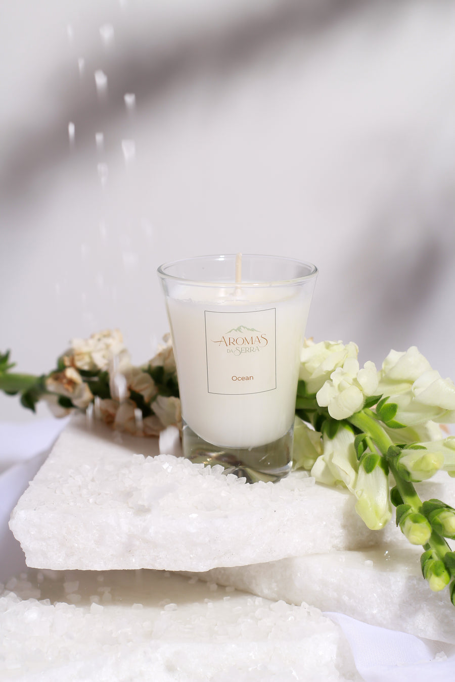 Coleção Raízes - Ocean