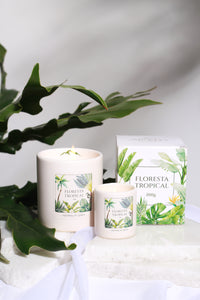 Floresta Tropical