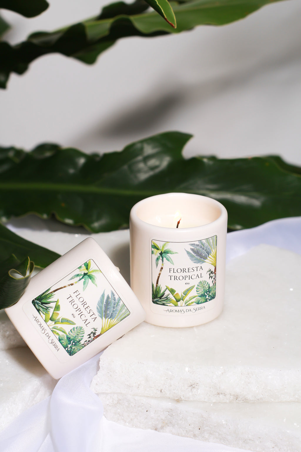 Kit Floresta Tropical